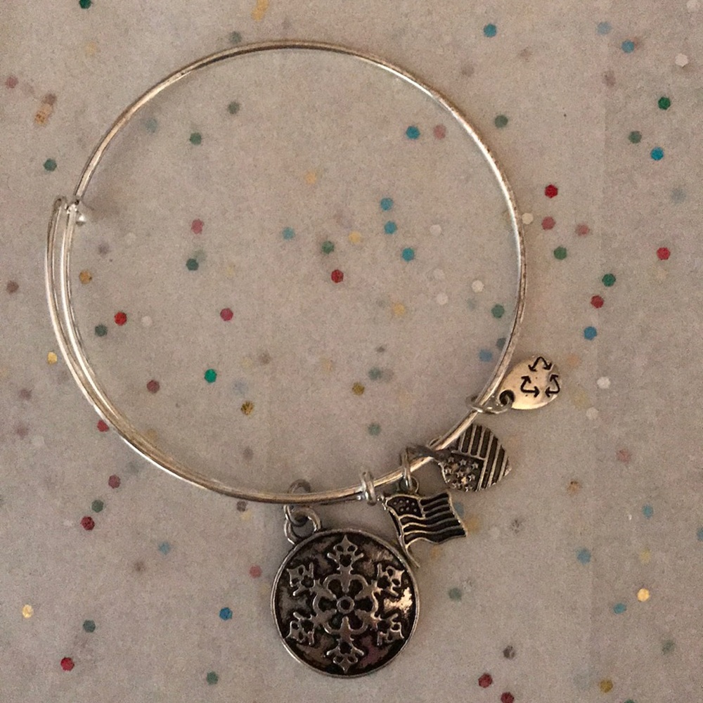 Alex and Ani Style NWOT Silver Tone Bracelet